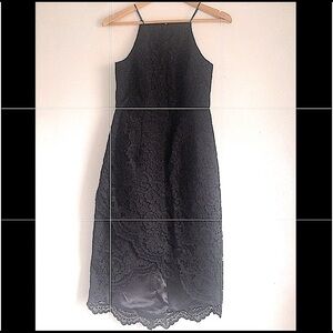 FOREVER NEW  Australian Brand Lace Midi Dress